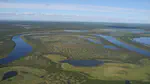 Siberian tundra could virtually disappear by mid-millennium